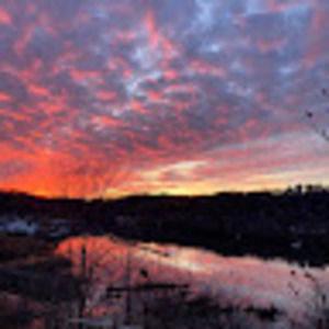 Meet your Posher, Eline